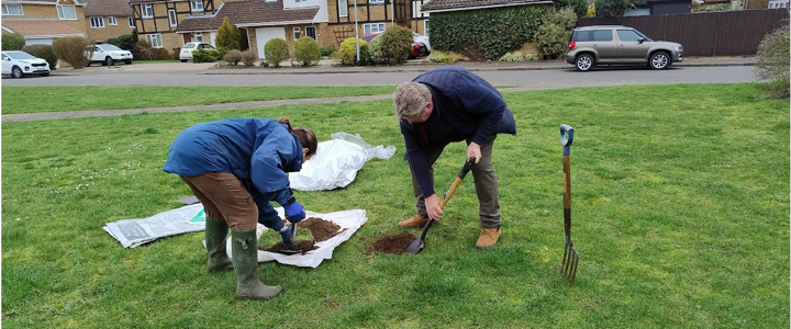 More than 750 saplings have been planted in South Cambs in the Six Free Trees project!